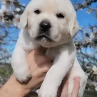 processed/fb3d6e57-85fb-482c-82d8-f70a1399c203/facility/1e68090b-f42a-4e01-b116-67d0c895d5f7