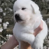 processed/fb3d6e57-85fb-482c-82d8-f70a1399c203/facility/24f69360-6838-41dd-90f1-3544f69ffa3c