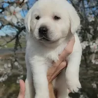 processed/fb3d6e57-85fb-482c-82d8-f70a1399c203/facility/3e08f248-7652-4873-b547-8d61ac247cfc