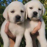 processed/fb3d6e57-85fb-482c-82d8-f70a1399c203/facility/4a793f41-3887-4571-8102-9b58c30600df