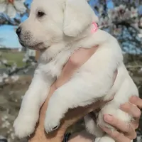 processed/fb3d6e57-85fb-482c-82d8-f70a1399c203/facility/7c4b2fe7-4cbc-47b2-94f3-781c78574b58