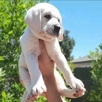 processed/fb3d6e57-85fb-482c-82d8-f70a1399c203/facility/7c86ab7a-8eef-445f-b36f-722c8e0a073a