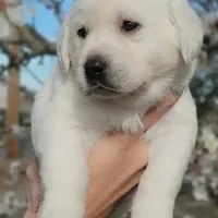 processed/fb3d6e57-85fb-482c-82d8-f70a1399c203/facility/8fcd7a5d-c1ed-4a9c-9ca0-c01938877267