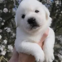 processed/fb3d6e57-85fb-482c-82d8-f70a1399c203/facility/a01808a1-4236-4261-844d-2ccbba5c8626