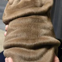 BOUGEE, a female English Bulldog for sale in Oklahoma City, OK – Photo 2 of 3