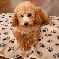 processed/fb4c7087-fbad-469e-b148-e71ee1167b3b/facility/308618a4-96c7-4bdb-a6b1-ccd678c70b5f