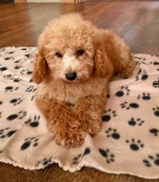 processed/fb4c7087-fbad-469e-b148-e71ee1167b3b/facility/308618a4-96c7-4bdb-a6b1-ccd678c70b5f