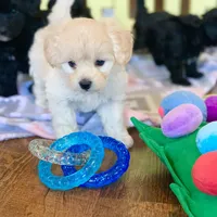 processed/fb4c7087-fbad-469e-b148-e71ee1167b3b/facility/4adcb179-53ab-43ad-9352-0ddd4c59d441