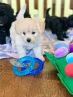 processed/fb4c7087-fbad-469e-b148-e71ee1167b3b/facility/4adcb179-53ab-43ad-9352-0ddd4c59d441