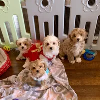 processed/fb4c7087-fbad-469e-b148-e71ee1167b3b/facility/4b153e93-a074-474f-ae86-6304559229fd