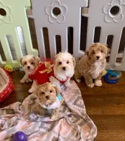 processed/fb4c7087-fbad-469e-b148-e71ee1167b3b/facility/4b153e93-a074-474f-ae86-6304559229fd