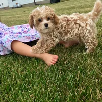 processed/fb4c7087-fbad-469e-b148-e71ee1167b3b/facility/7ade5c9b-2056-4fe7-9d8f-2faa62346fc0