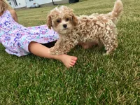 processed/fb4c7087-fbad-469e-b148-e71ee1167b3b/facility/7ade5c9b-2056-4fe7-9d8f-2faa62346fc0