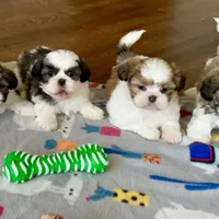 processed/fb4c7087-fbad-469e-b148-e71ee1167b3b/facility/82ea9650-ef14-4e41-9861-f760c604c37e