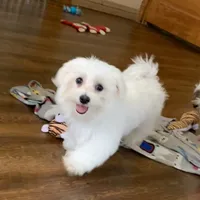 processed/fb4c7087-fbad-469e-b148-e71ee1167b3b/facility/d9eaf9af-5d62-4b19-8d38-a2e940068e29