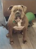 processed/fb579934-44cf-4769-80b7-42850aed108d/facility/2b8a22f5-f372-46a3-9bcf-60ee7834e1c9