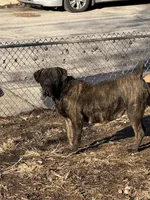 processed/fb579934-44cf-4769-80b7-42850aed108d/facility/9b4ba438-750d-4b03-9caa-eaca00c7be1d