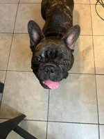 processed/fb579934-44cf-4769-80b7-42850aed108d/facility/9c04d3e2-5477-479d-b6a5-90c210f86727