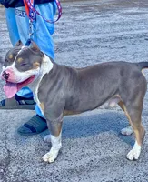 processed/fb579934-44cf-4769-80b7-42850aed108d/facility/9ff12eb2-62a5-4592-b58b-f162ad90eb53