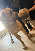 processed/fb579934-44cf-4769-80b7-42850aed108d/facility/bd8ff529-aa27-49ef-a4ad-2f458a956fb1