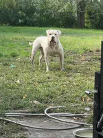 processed/fb579934-44cf-4769-80b7-42850aed108d/facility/ff9f3241-3bd9-4f52-a03e-11d2676ea166