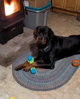 Rottweilers , a female Rottweiler for sale in Rindge, NH – 4 of 5