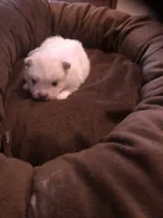 processed/fb5fa037-1632-45bc-9025-3017dac59154/facility/472fc9a7-b3b6-4741-922c-cccad2c10bad