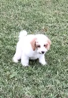 processed/fb5fa037-1632-45bc-9025-3017dac59154/facility/7f6b418b-2ebd-450a-8a45-6734ac1783fb