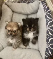 processed/fb5fa037-1632-45bc-9025-3017dac59154/facility/7f87085f-c469-4430-a6ba-ef7c2778f5ee