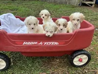 processed/fb5fa037-1632-45bc-9025-3017dac59154/listing/0c190b9a-2917-4ef2-ad63-5a41187d80a3/a7a66462-43ba-4eae-bade-0b9d8944527c