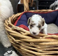 processed/fb5fa037-1632-45bc-9025-3017dac59154/listing/0c190b9a-2917-4ef2-ad63-5a41187d80a3/edf8b8a3-06e6-40e5-ad86-a6b6319635fc