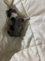 processed/fb5fa037-1632-45bc-9025-3017dac59154/listing/14706da6-cc10-441e-a04c-eabe464afdad/cf6996f5-983d-4dcc-a8d4-21a11e5df7ba