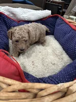 processed/fb5fa037-1632-45bc-9025-3017dac59154/listing/17acaa5e-1801-4e0f-b676-64b50ba22deb/f3ba5911-bcd5-4bc5-8b15-09e5f14df965