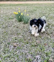 processed/fb5fa037-1632-45bc-9025-3017dac59154/listing/1cc7afd1-3ad8-41f0-a24e-bde36d667cdc/31530735-37f7-4b16-be8b-2cc4f54159bc