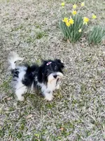 processed/fb5fa037-1632-45bc-9025-3017dac59154/listing/1cc7afd1-3ad8-41f0-a24e-bde36d667cdc/7c2b8aeb-4761-4089-8e46-3d0d520a1438