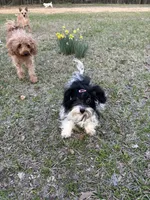 processed/fb5fa037-1632-45bc-9025-3017dac59154/listing/1cc7afd1-3ad8-41f0-a24e-bde36d667cdc/840abd72-f244-4291-8a7d-e5addaf2381c