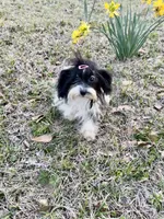 processed/fb5fa037-1632-45bc-9025-3017dac59154/listing/1cc7afd1-3ad8-41f0-a24e-bde36d667cdc/e3ae8765-f17b-42b1-9496-ee7358fcf447