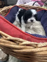 processed/fb5fa037-1632-45bc-9025-3017dac59154/listing/2604c8cb-b47a-4f18-a92d-2aee53da764f/66f1383c-8381-4dc6-9a6e-b4d36ce37f0b