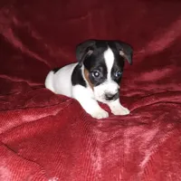 processed/fb5fa037-1632-45bc-9025-3017dac59154/listing/8e553f2b-3a63-4a1c-bbdd-ee2a6a78c4d9/e345db15-2e4b-41cb-ba2c-98af9a6f6ad6