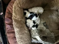 processed/fb5fa037-1632-45bc-9025-3017dac59154/listing/94762612-e931-407c-86ca-6c0a6866d7cb/71748a1d-8074-4321-8a38-ae75da53cfae