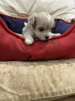 processed/fb5fa037-1632-45bc-9025-3017dac59154/listing/94762612-e931-407c-86ca-6c0a6866d7cb/718a14b5-8c33-453c-a3fb-e6b51f4a8c68