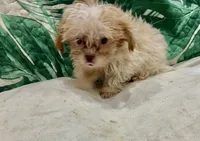 processed/fb5fa037-1632-45bc-9025-3017dac59154/listing/94762612-e931-407c-86ca-6c0a6866d7cb/8bcfd24f-6e78-41f9-9e75-35712f9ef910