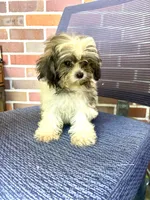 processed/fb5fa037-1632-45bc-9025-3017dac59154/listing/94762612-e931-407c-86ca-6c0a6866d7cb/9ab9cf40-44c6-4d46-8d1c-ea2b9c5d3d56