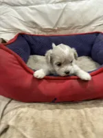 processed/fb5fa037-1632-45bc-9025-3017dac59154/listing/94762612-e931-407c-86ca-6c0a6866d7cb/ee0090b9-94b8-4eb5-849b-c9f1e92119ec