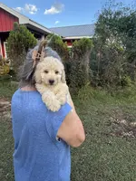 processed/fb5fa037-1632-45bc-9025-3017dac59154/listing/95b1aa07-94a3-41dd-b08d-2835fa204b7f/0d8ee247-71df-4b72-b0f5-4b2877011920