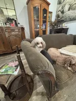 processed/fb5fa037-1632-45bc-9025-3017dac59154/listing/95b1aa07-94a3-41dd-b08d-2835fa204b7f/3a2bc255-b7d4-47e5-924c-1099b97cbf70