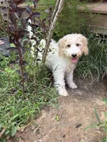 processed/fb5fa037-1632-45bc-9025-3017dac59154/listing/95b1aa07-94a3-41dd-b08d-2835fa204b7f/add18169-f657-404a-82f5-af96b98e94f4