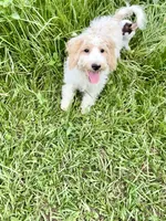 processed/fb5fa037-1632-45bc-9025-3017dac59154/listing/95b1aa07-94a3-41dd-b08d-2835fa204b7f/f9ab775b-bbdc-40cb-8ee6-a5357067342c