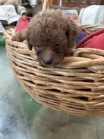 processed/fb5fa037-1632-45bc-9025-3017dac59154/listing/9b558eb6-f159-4219-b635-438687beca02/b0770227-4513-4a41-8504-07363e6e2ace