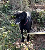 processed/fb5fa037-1632-45bc-9025-3017dac59154/listing/ca1cddb6-a687-4e98-be20-e8e8628c1f31/67080f55-3994-4db7-abc6-e66576ede867